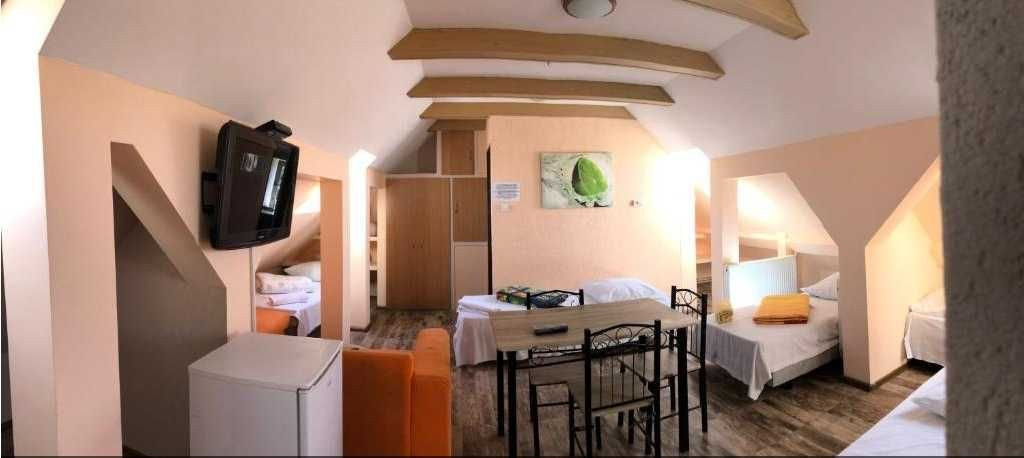 Casa individuala de inchiriat 13 camere bai proprii zona Piata Cluj
